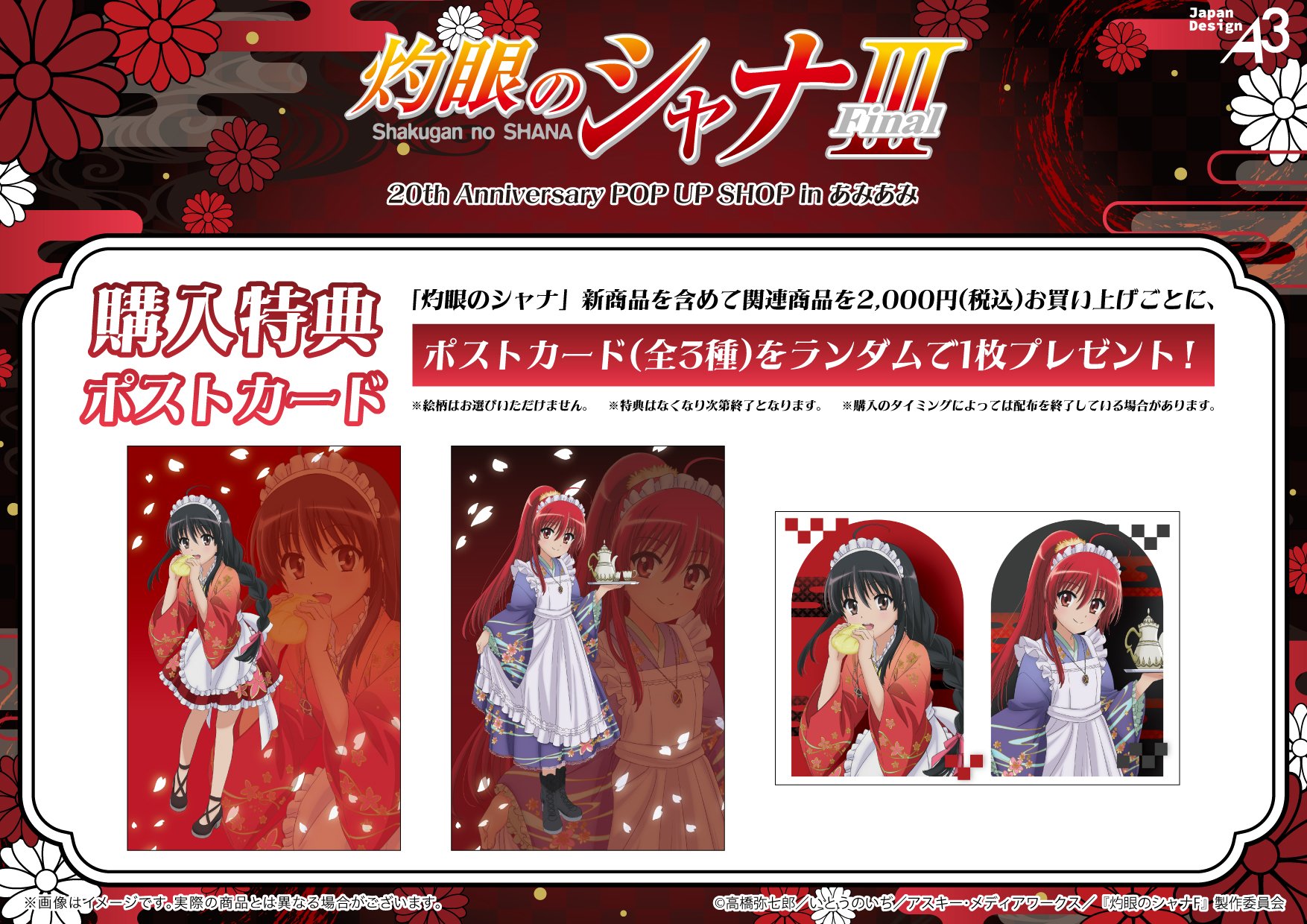 shana_251205_003.jpg